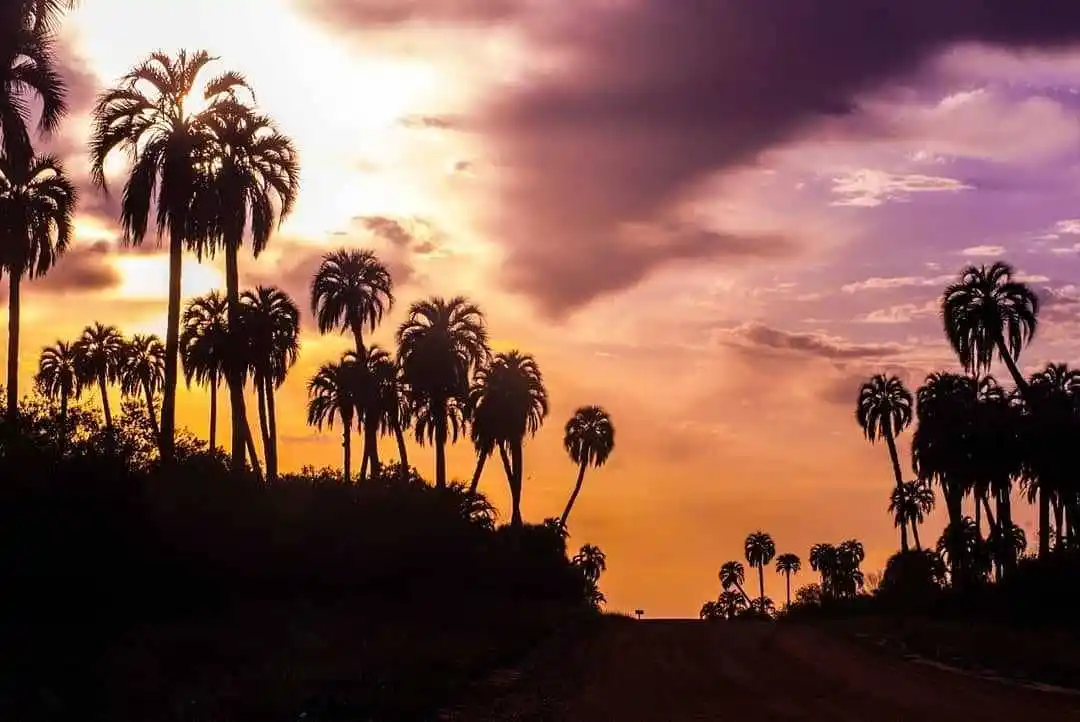 El sector turístico se encuentra expectante ante la reserva casi plena de Semana Santa