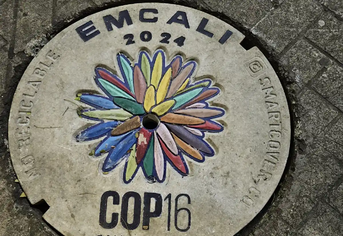 «Inversión significativa» por la biodiversidad: con esta petición así arranca la COP16 en Colombia