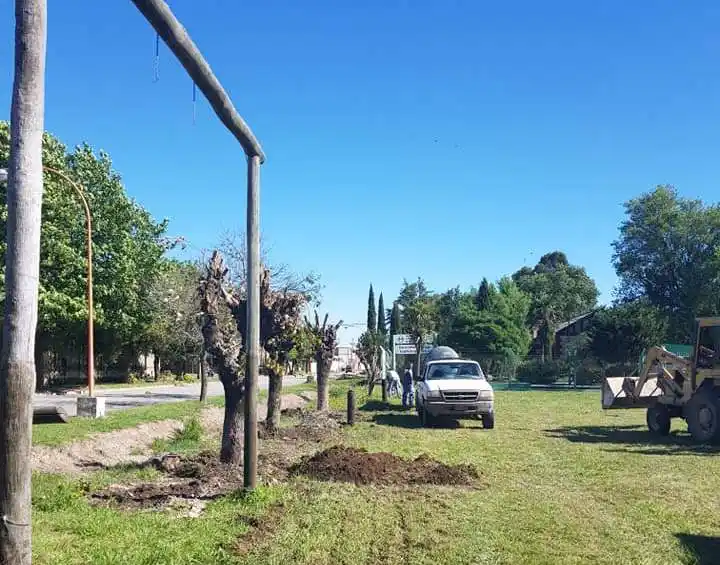 Plantaron árboles en el predio de la Fiesta de la Soga Gaucha