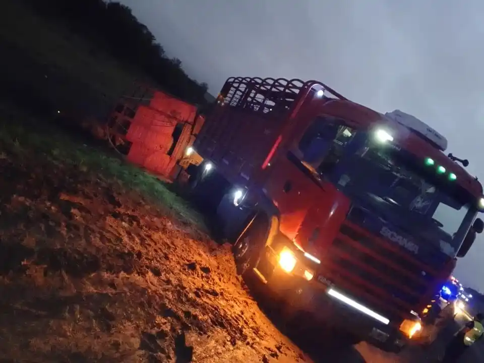 Vuelco de un camión en Ruta 12: tres caballos resultaron heridos