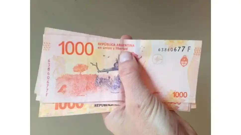 Bono de $18.000: millones de personas hacen fila virtual para anotarse en Anses