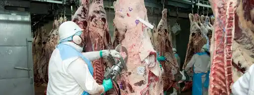 Paro total del campo ante el cese de exportaciones: "Es una medida electoral"