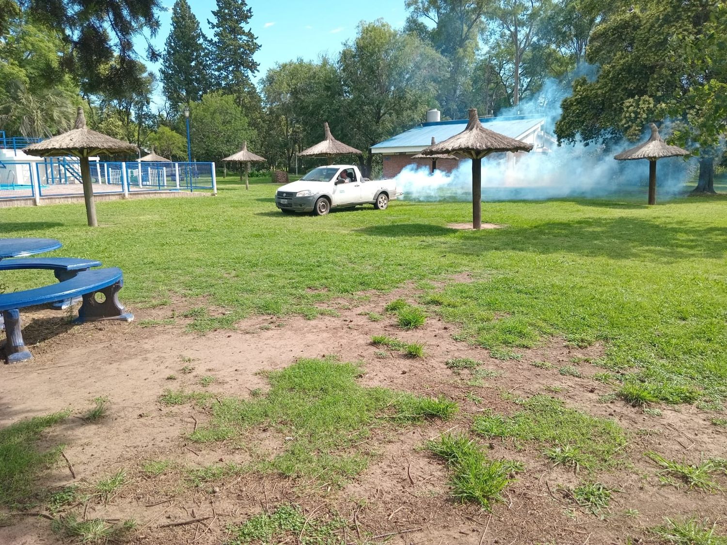 Este jueves se trabajó en los clubes Centenario y Universitario.