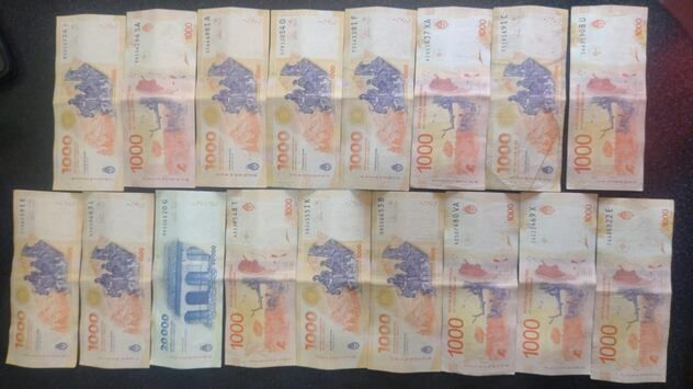 coima amarok caminera - 1