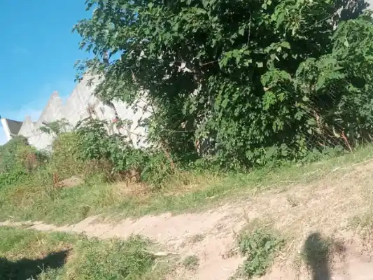 Oscuridad y maleza en la zona del puerto