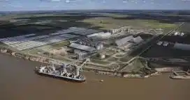 Al final, las retenciones son del 12%, según el Boletín Oficial