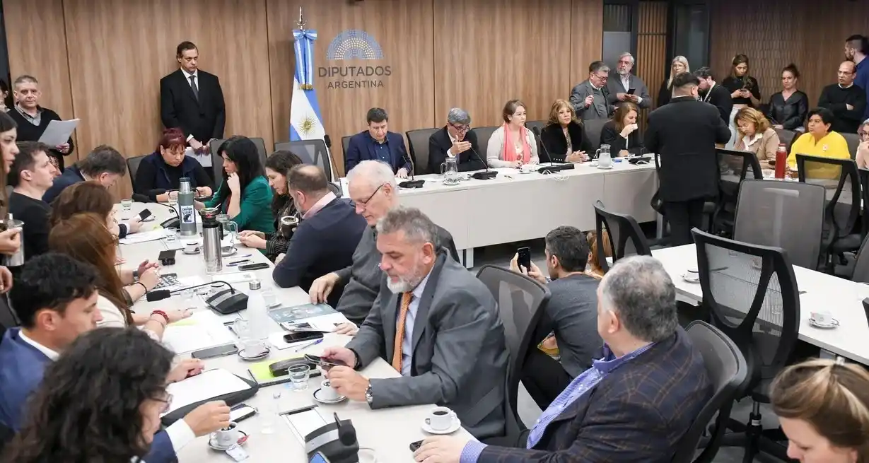 Al Plenario de Comisiones no asistió ningún integrante de La Libertad Avanza, del PRO y solo un legislador de la UCR. Foto: HCDN.