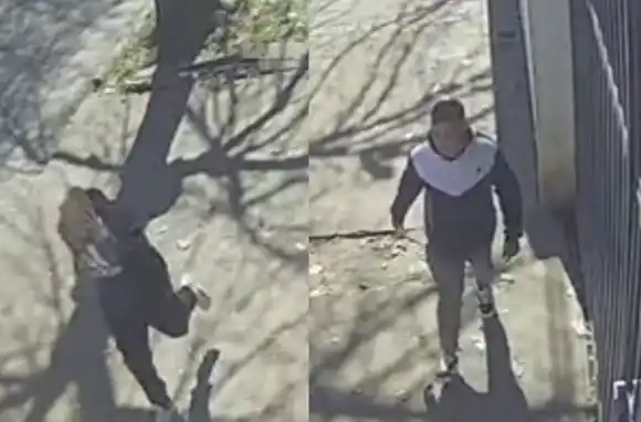 Una distribuidora de Echesortu fue objetivo de un golpe comando en el que se llevaron decenas de cheques