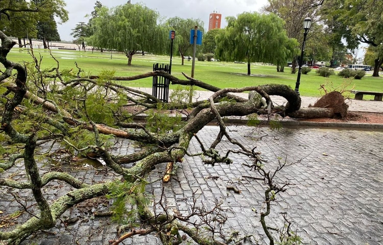 Desde Defensa Civil hicieron un balance del temporal y anunciaron que sigue vigente el alerta por nuevas tormentas