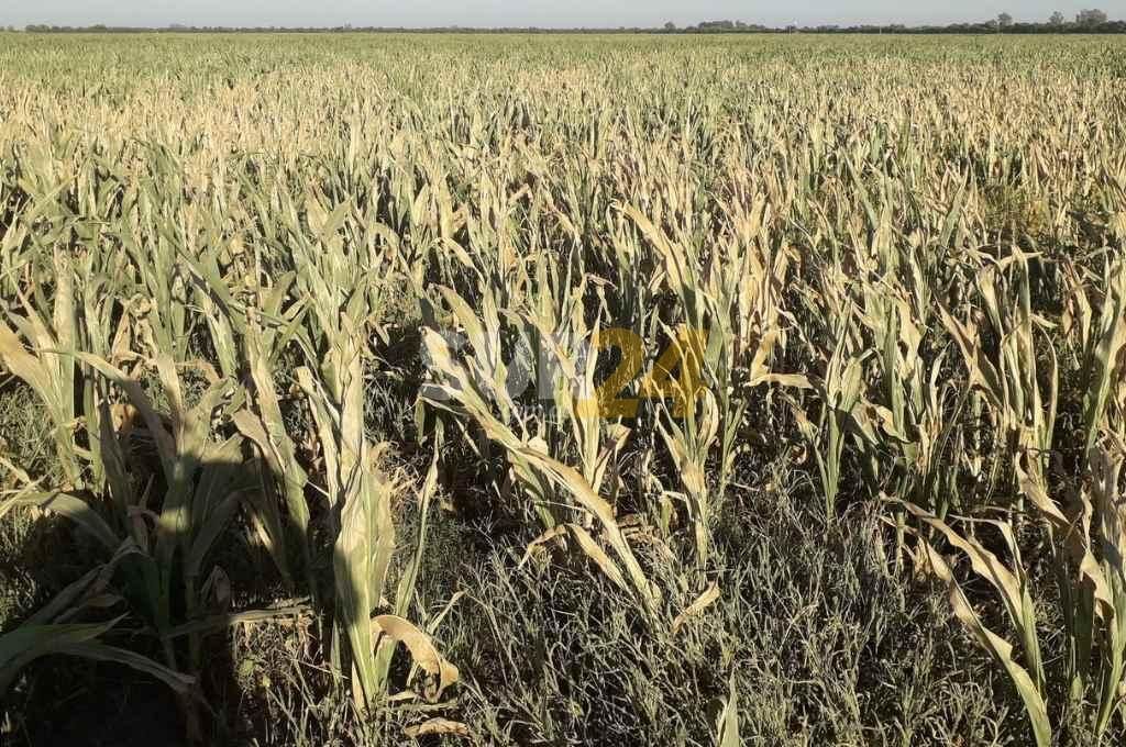 El agro pone sus expectativas en las lluvias 