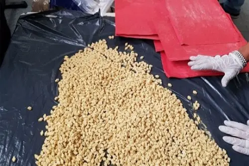 MAR DEL PLATA: Incautan 25.000 pastillas de metanfetamina