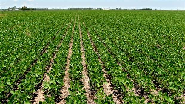 Aumento del Inmobiliario Rural: Carbap no descarta realizar protestas para frenar la suba