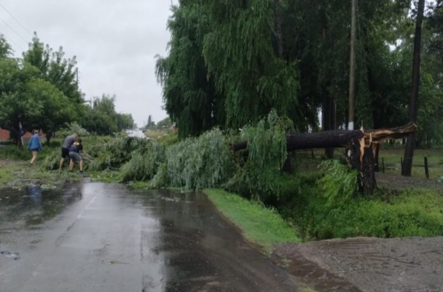 El temporal de lluvia y viento provocó destrozos y afectó a 48 distritos bonaerenses