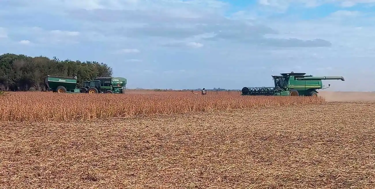 En términos de toneladas, las exportaciones aumentaron 37,1%.