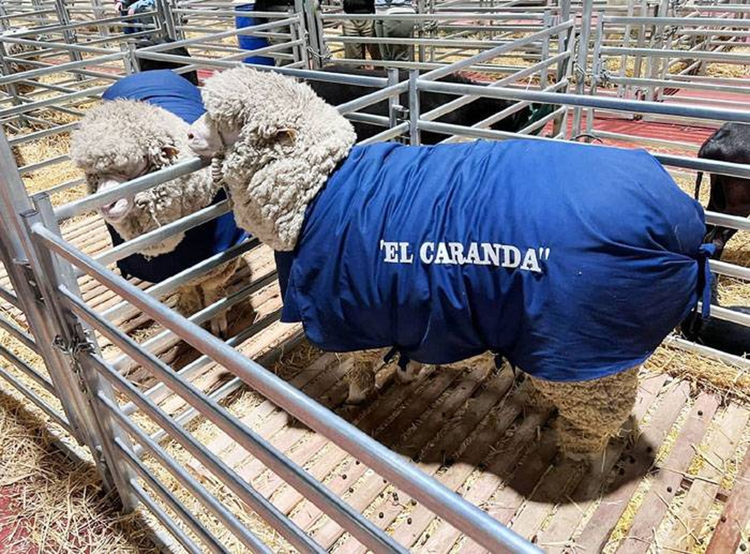 La Cabaña El Carandá participa en la Exposición Rural de Palermo