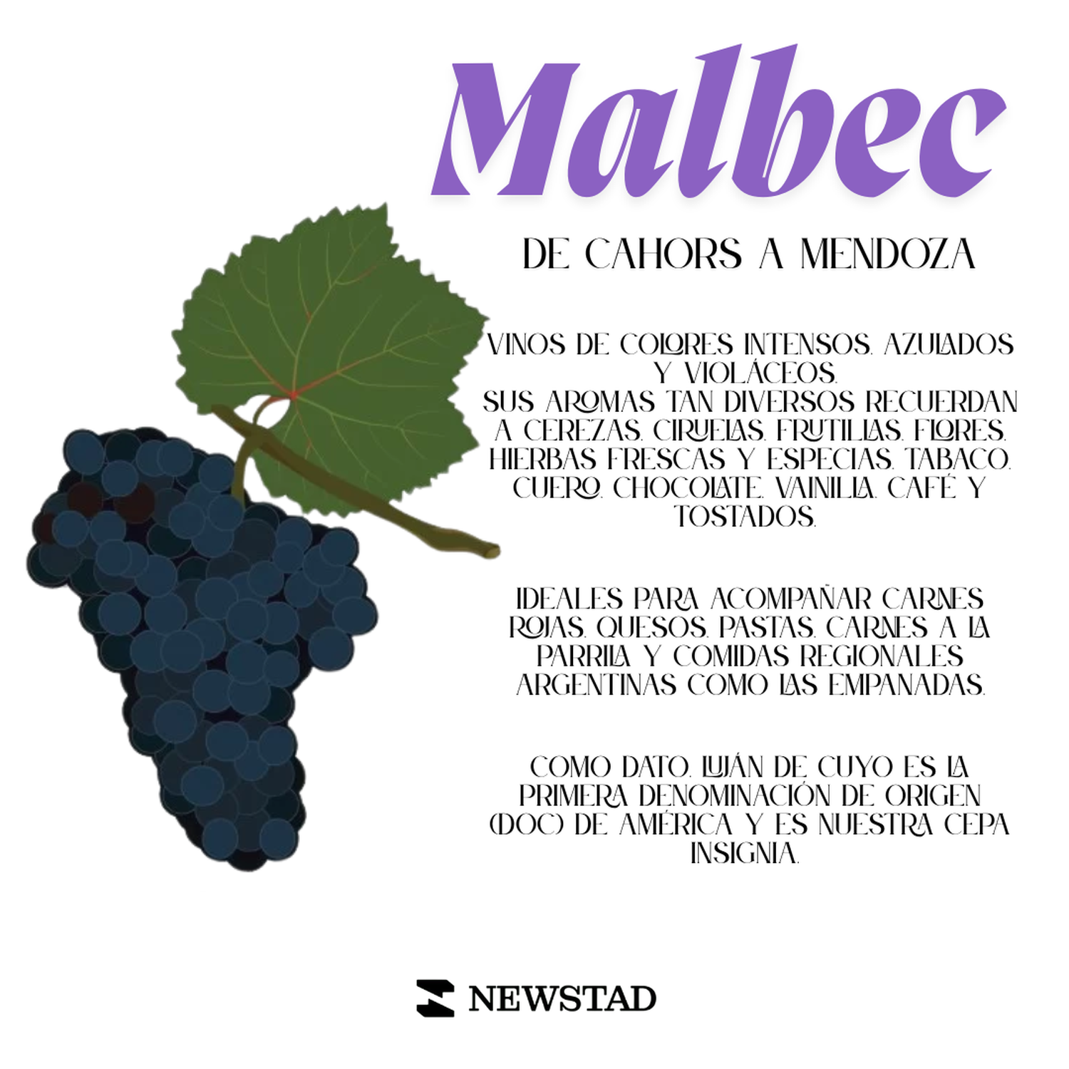 SABORES DEL MALBEC
