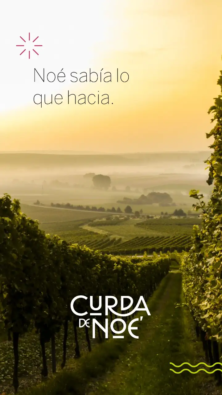 CDN2