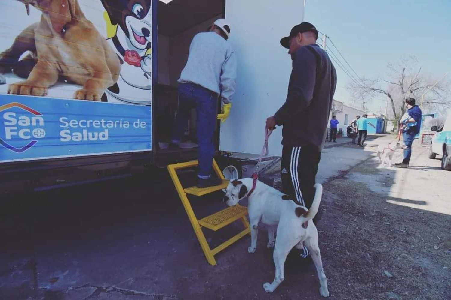 Desde el lunes continúa cronograma de vacunación y castración de mascotas