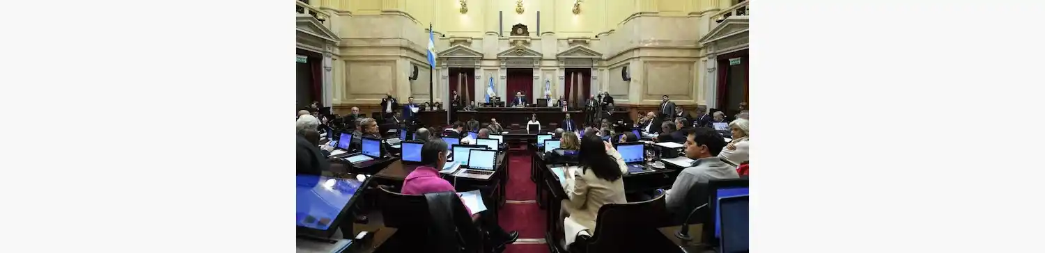 La medida obliga al presidente a promulgar la ley.