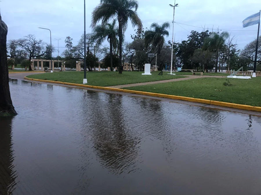 Miniatura de imagen 13