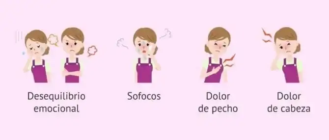 perimenopausia - 1