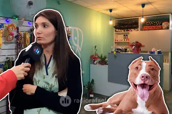 Lucía Vignola, ante los ataques de perros: ¿Qué hacer con las razas peligrosas?