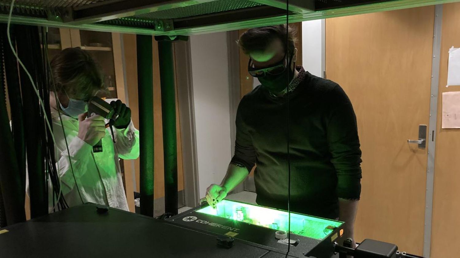 Descubren una bacteria que recurre a la mecánica cuántica para realizar la fotosíntesis
