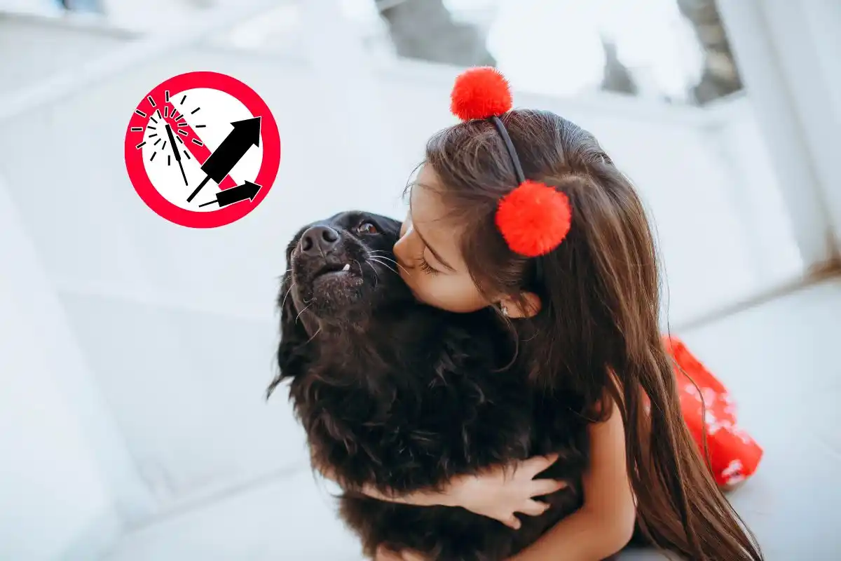 El gobierno municipal recuerdo que está prohido el uso de pirotecnia sonora en la ciudad.