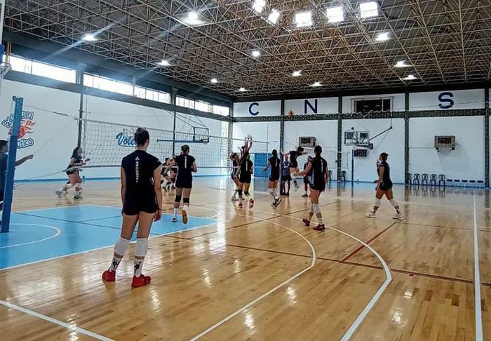 Voley