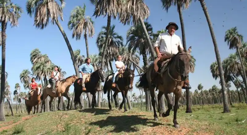 El Parque Nacional El Palmar ofrece un curso de flora nativa