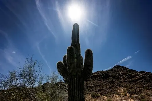 Récords de temperatura en el oeste de EE.UU.: OLA DE CALOR TEMPRANA