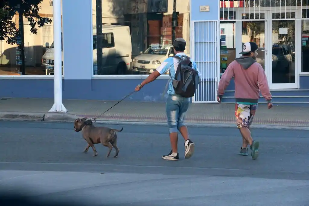 #Instantáneas: Paseo