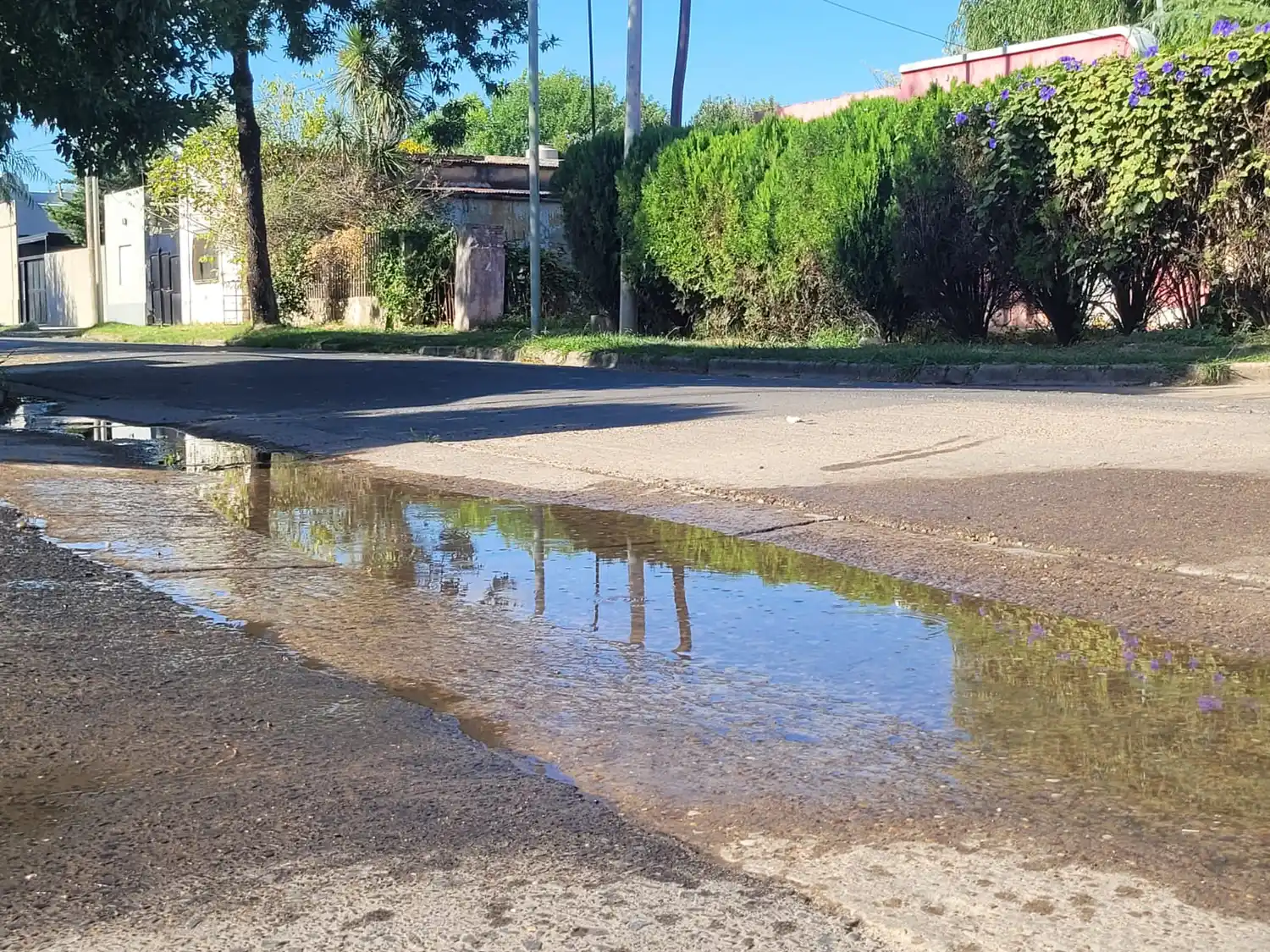 Obras Sanitarias trabaja en solucionar las pérdidas de agua en vereda