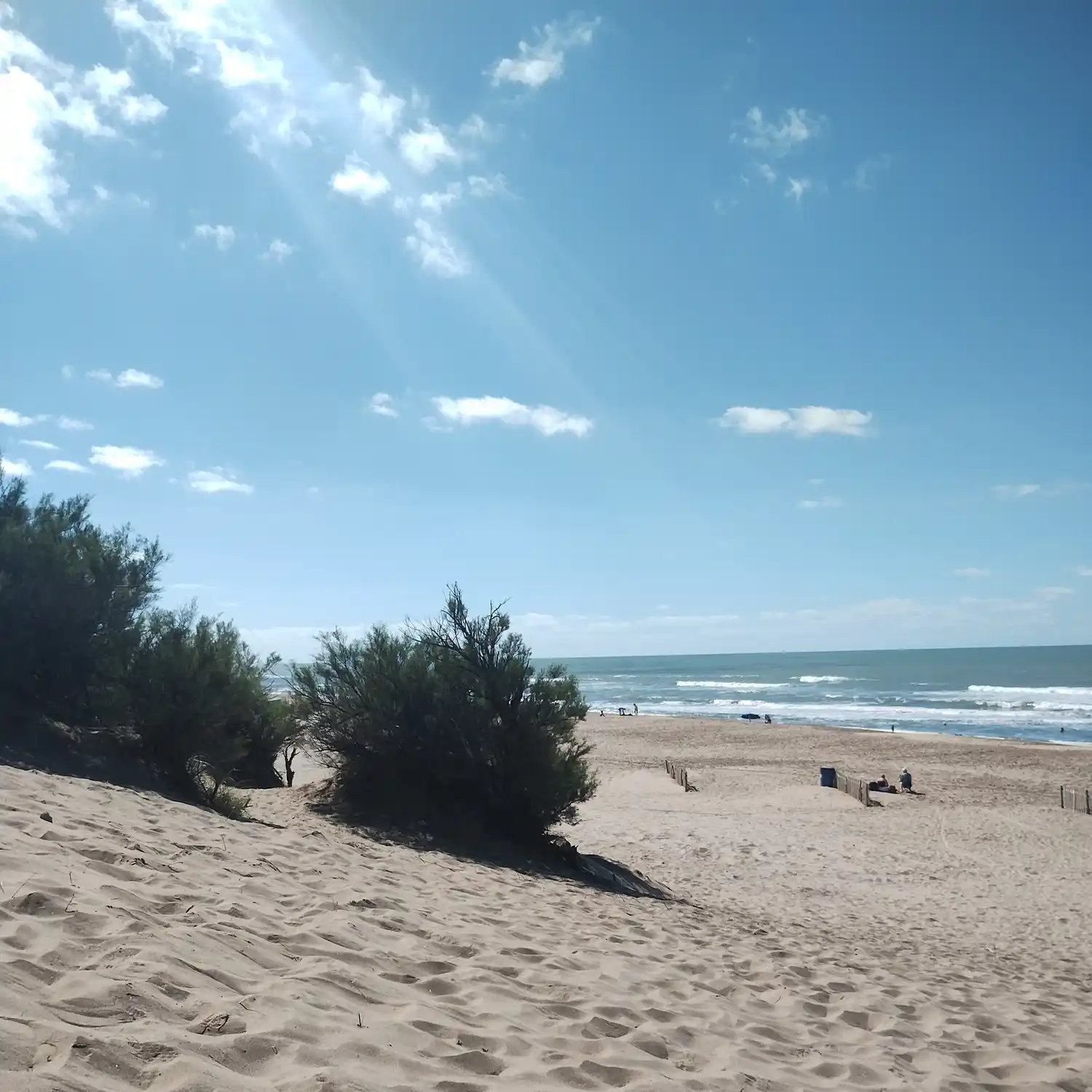 La policía halló un frasco en la playa.