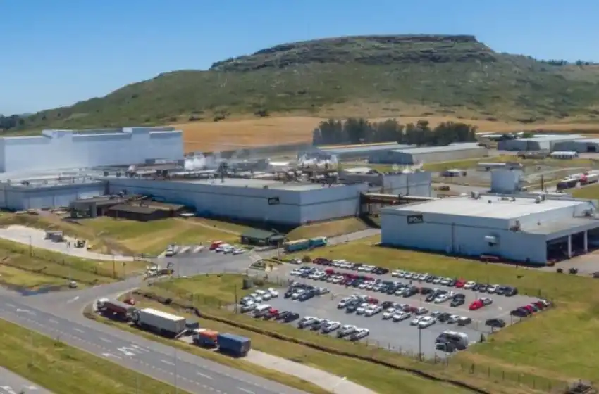 Un paro de trabajadores paraliza parcialmente la producción de McCain