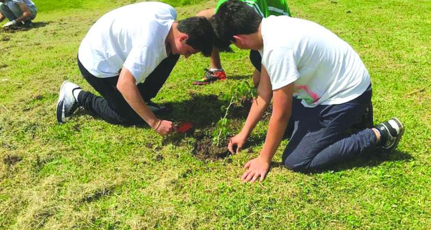 Plantan especies nativas en Obligado