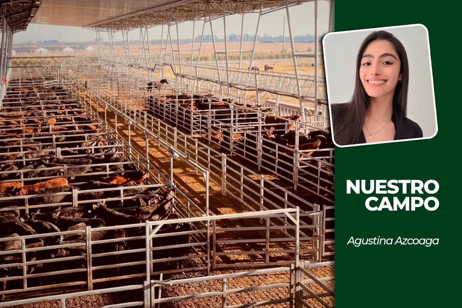 NUESTRO CAMPO | Rosgan advirtió que la recuperación del precio de la hacienda podría ser transitoria