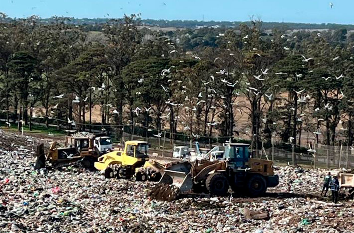 Licitación del basural: el Emsur y los "desconocidos de siempre"