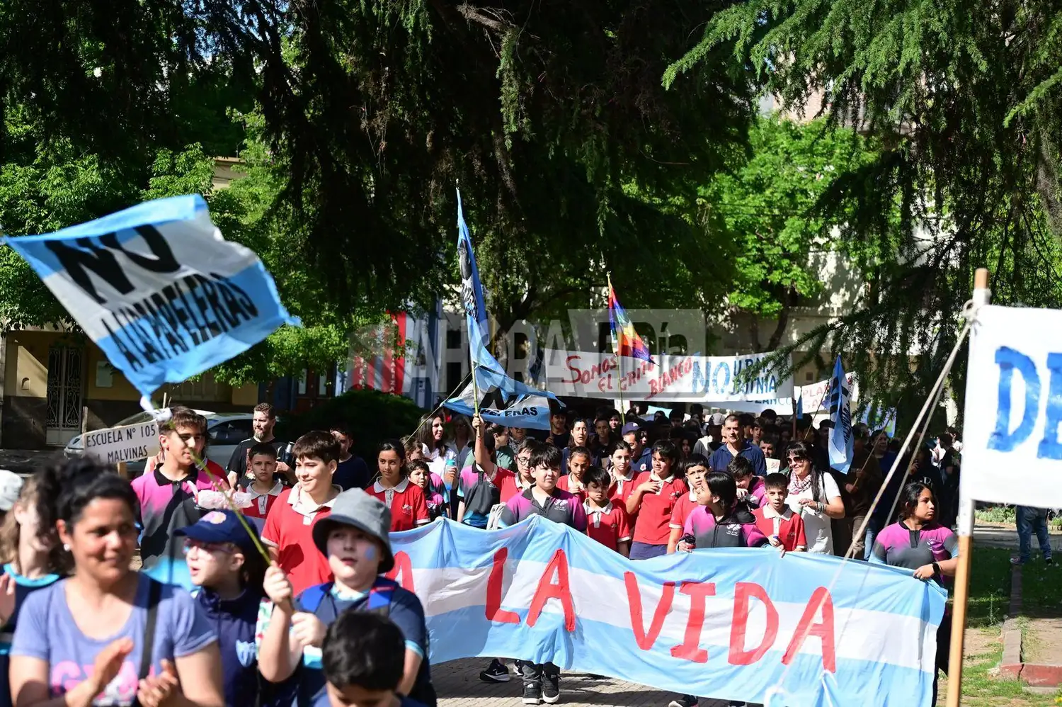 El Grito Blanco: Alumnos, docentes y ambientalistas se movilizarán para pedir por un entorno sano