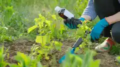 Fitosanitarios, en detalle