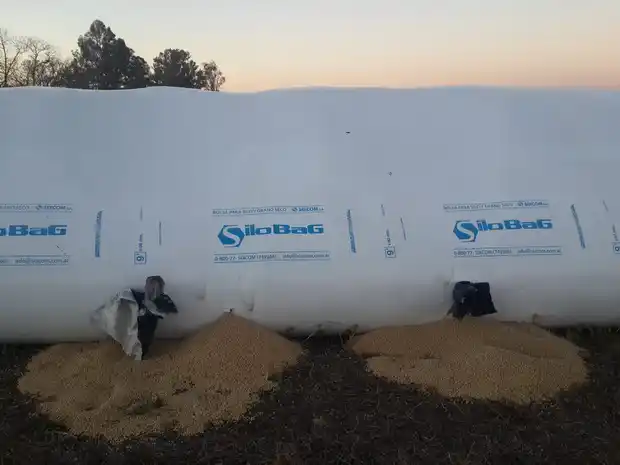 Insólito: se llevaron 7 mil kilos de soja, pero la recuperaron