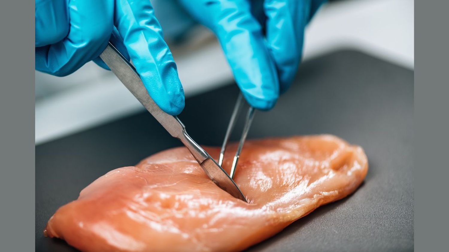 Muy pronto venderán carne de pollo creada en laboratorio: EE.UU. autoriza a dos empresas  