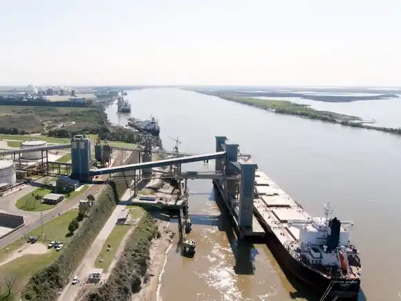 Más allá de la tregua comercial con EEUU, China viene por la soja y el maíz argentinos