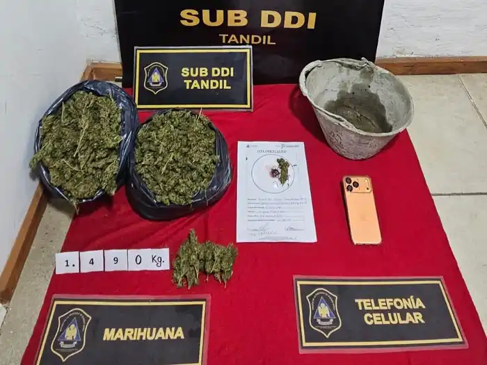 Allanaron una casa por una causa de hurto, y encontraron un kilo y medio de marihuana