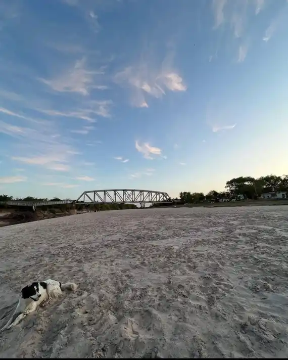 Al igual que otras ciudades, Gualeguay también debe implementar transporte público y gratuito a balnearios