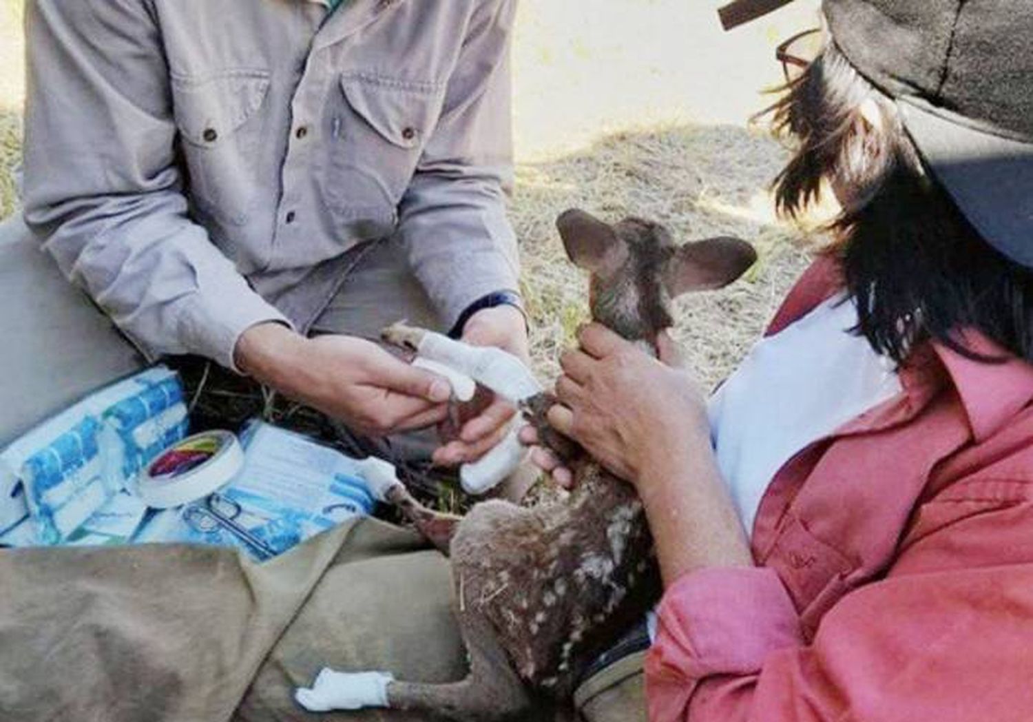 Recolectan medicamentos  para ayudar a animales  en Corrientes