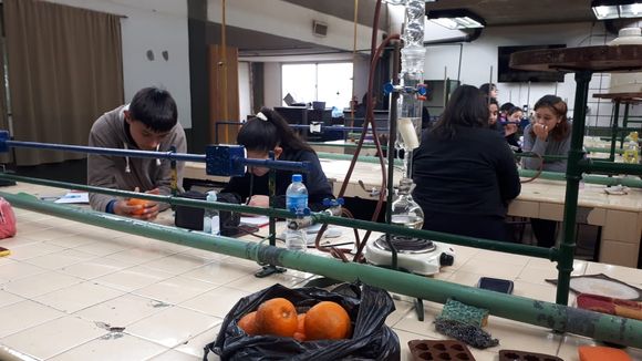 ¿Qué hacen con las naranjas amargas en la escuela Industrial?: los alumnos explican