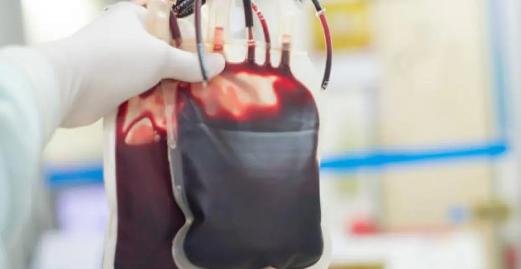 UNA ALTERNATIVA: científicos crean sangre artificial compatible con todos los tipos