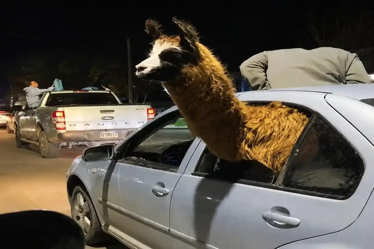 La llama en un auto fue uno de los videos más viralizados en los festejos tras el triunfo ante Suiza.