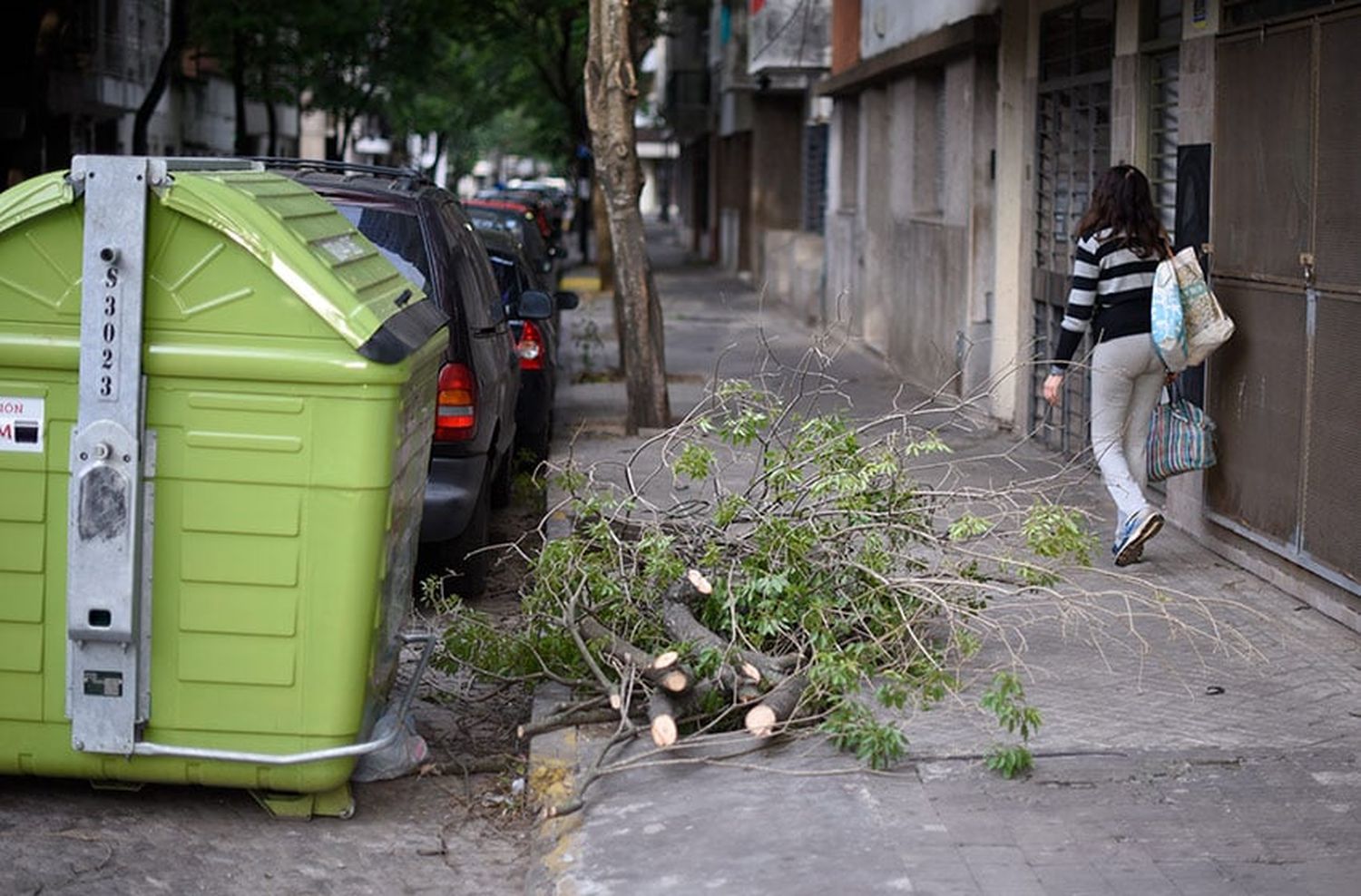 Piden tomar precauciones por el viento en Rosario y advierten que se esperan ráfagas de más de 65 kilómetros por hora